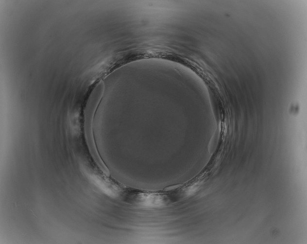 X0000090760520200707201506