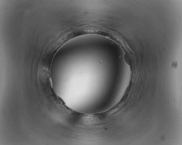 X0000090760521200707201506