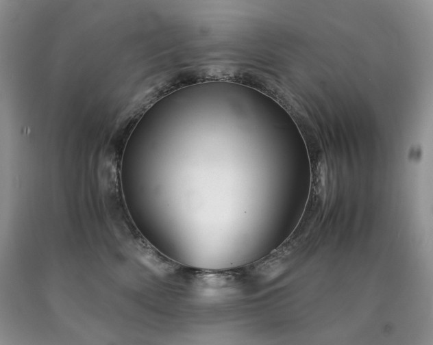 X0000090760522200707201506