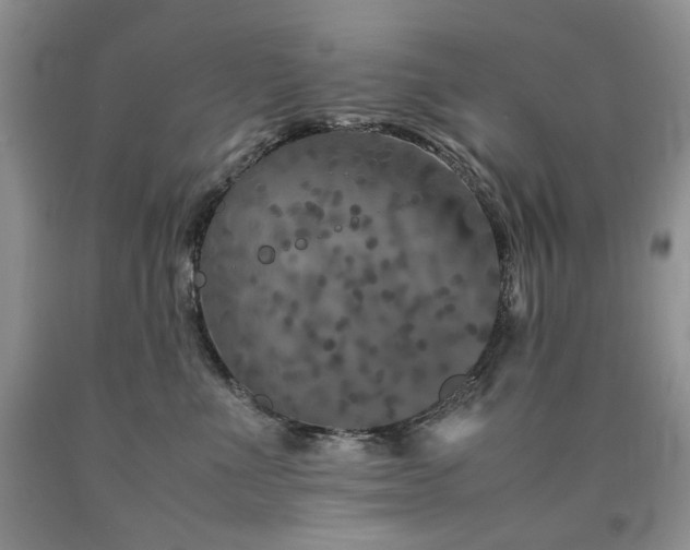 X0000090760523200707201506