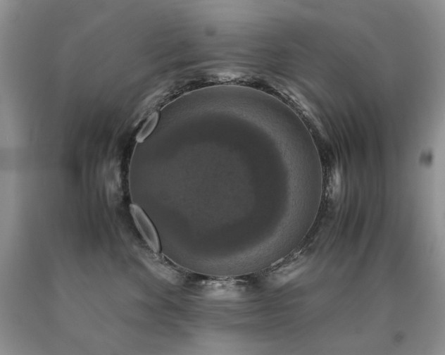 X0000090760524200707201506