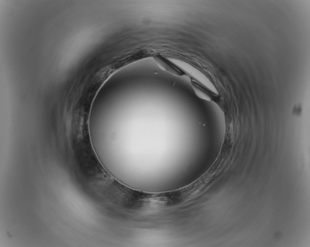 X0000090760525200707201506