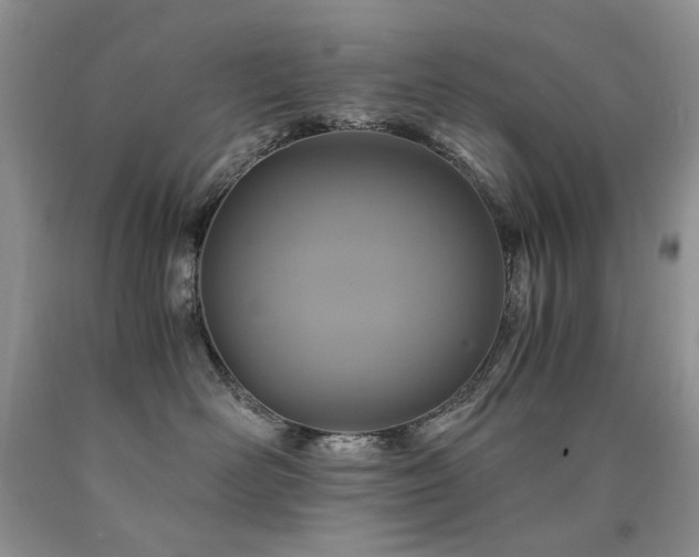 X0000090760526200707201506