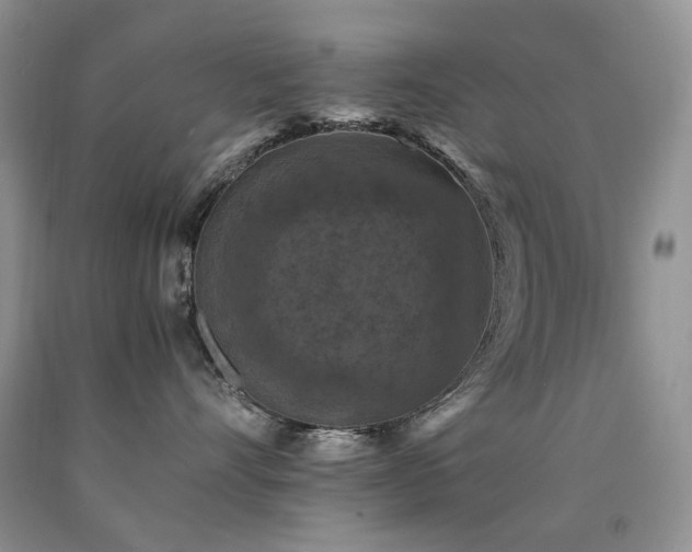 X0000090760528200707201506