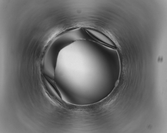 X0000090760530200707201505