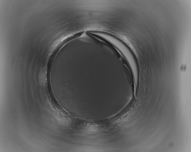 X0000090760531200707201505