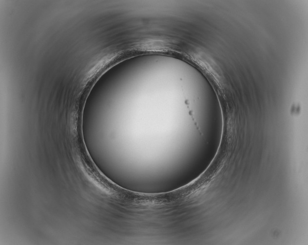 X0000090760533200707201505