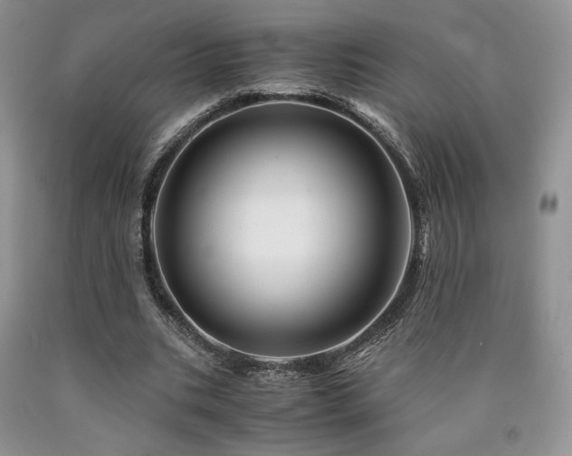 X0000090760535200707201505