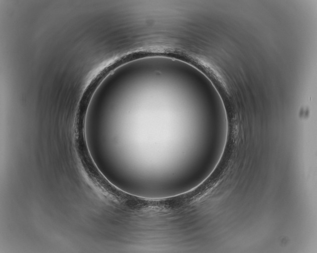 X0000090760536200707201505