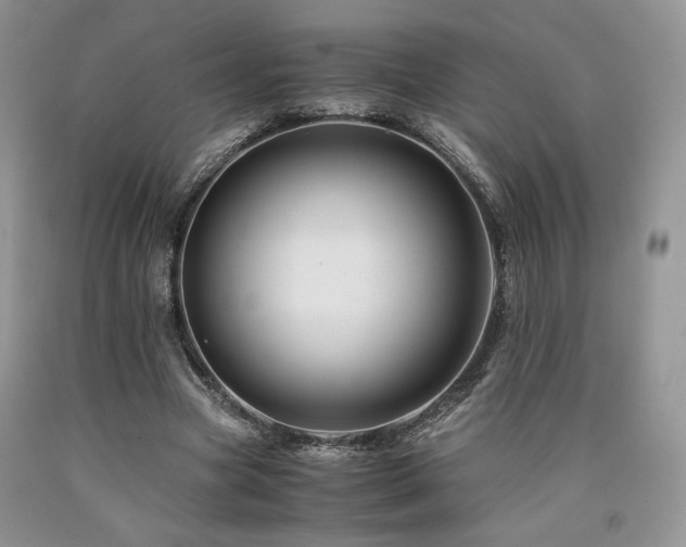 X0000090760537200707201505