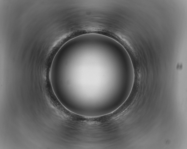 X0000090760539200707201505