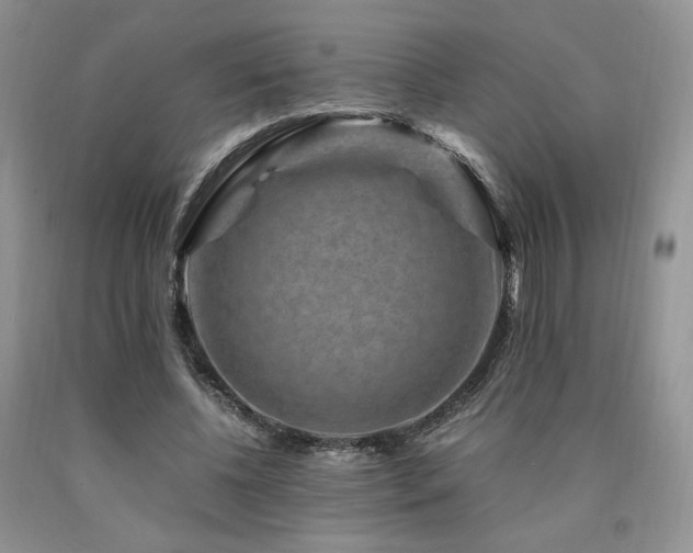 X0000090760540200707201505