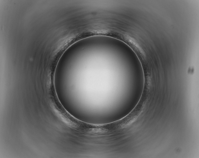 X0000090760541200707201505