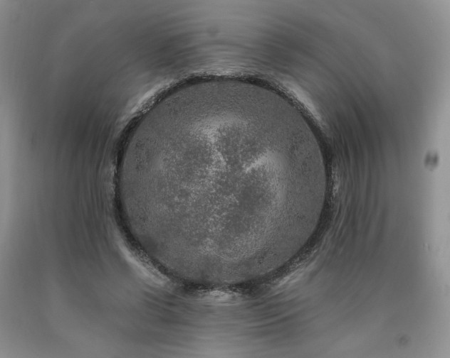 X0000090760542200707201505