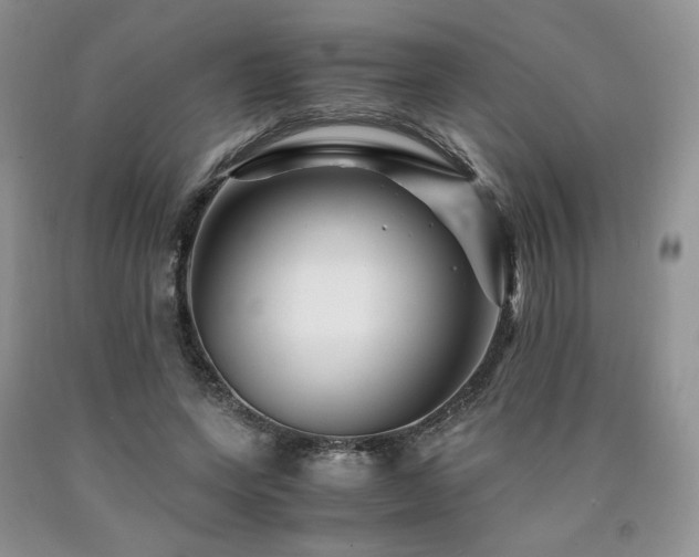 X0000090760543200707201505