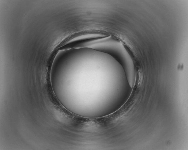 X0000090760544200707201505