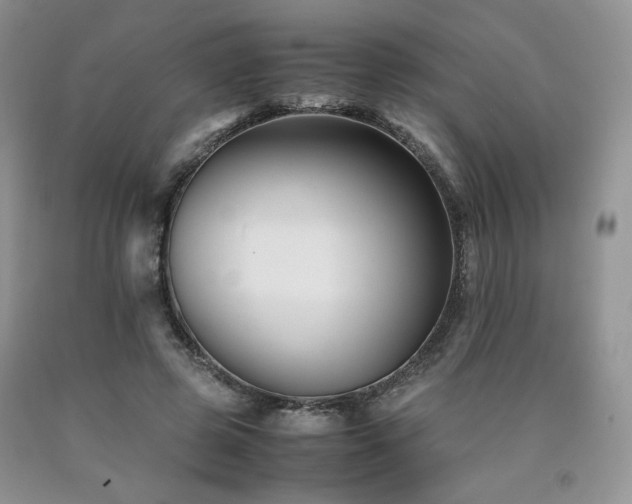 X0000090760545200707201505