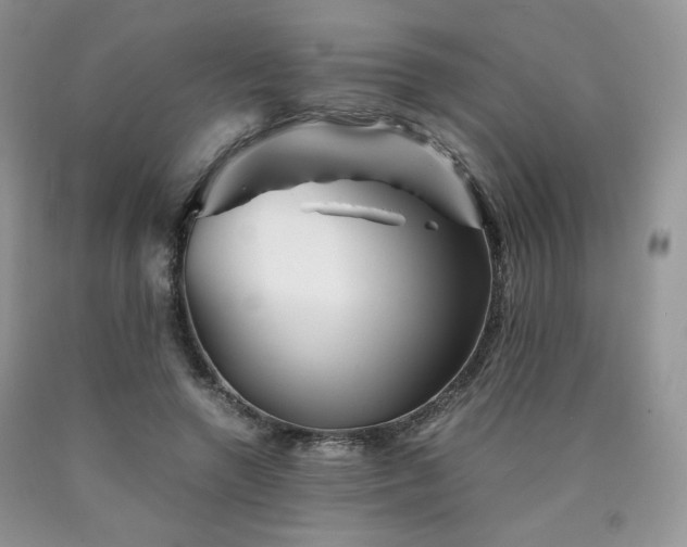 X0000090760546200707201505