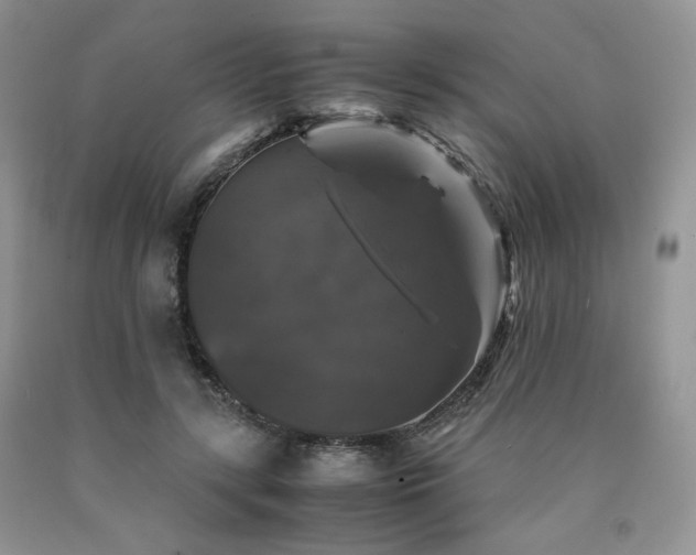 X0000090760547200707201505