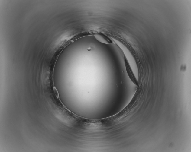 X0000090760548200707201505