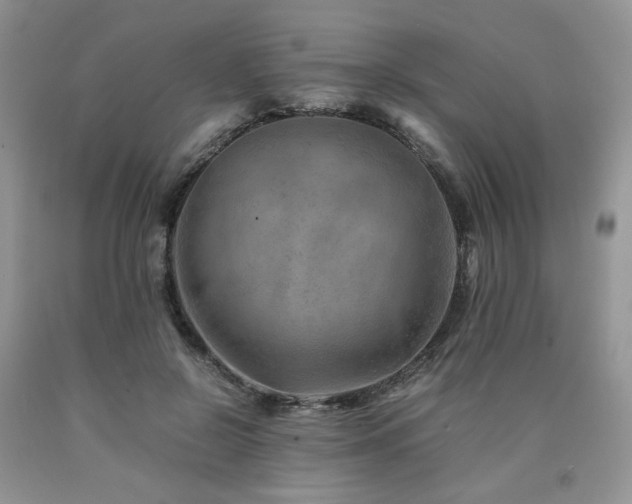 X0000090760550200707201505