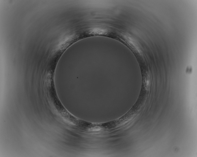 X0000090760551200707201505