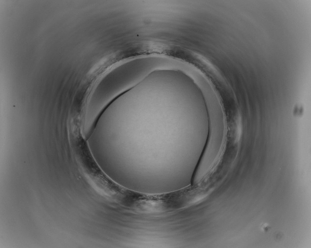 X0000090760552200707201505