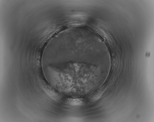 X0000090760553200707201505