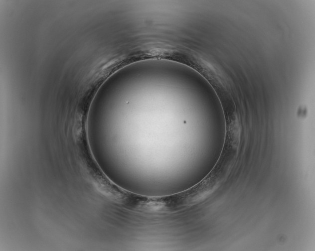 X0000090760554200707201505