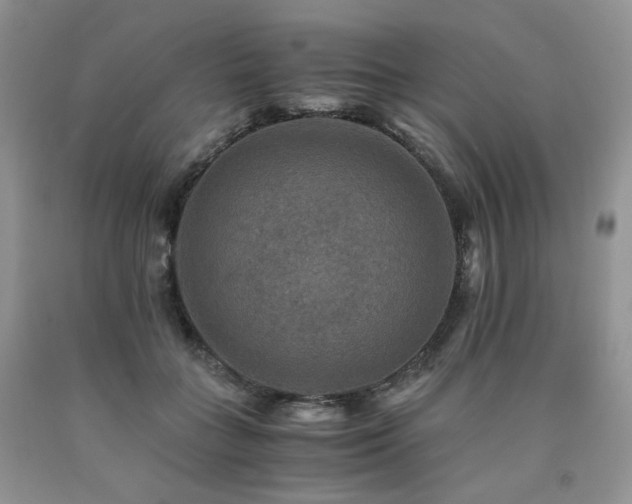 X0000090760555200707201505