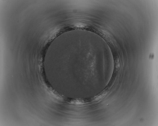 X0000090760559200707201505