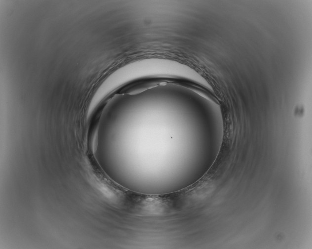 X0000090760562200707201505