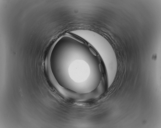 X0000090760564200707201505