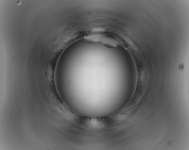 X0000090760565200707201505