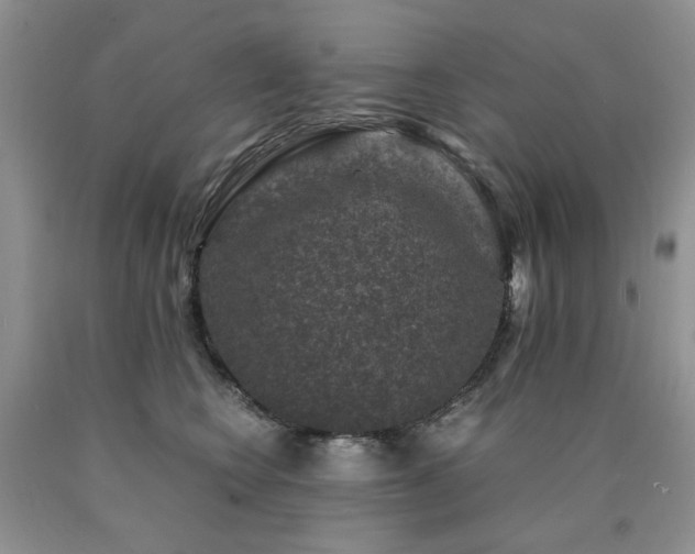 X0000090760566200707201505