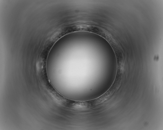 X0000090760567200707201505