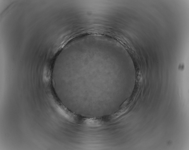 X0000090760568200707201505