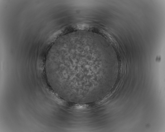 X0000090760569200707201505