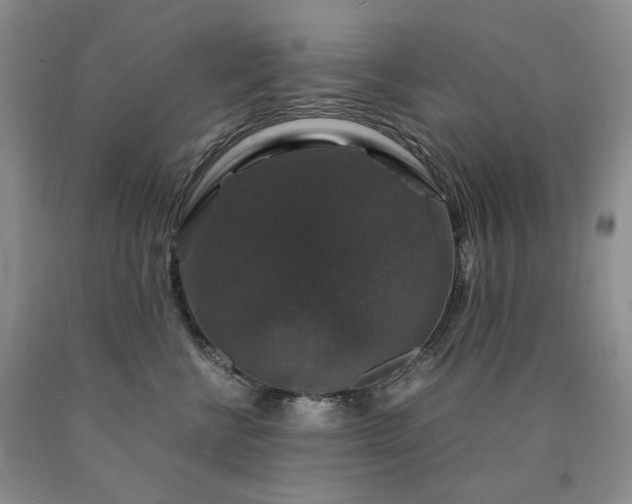 X0000090760570200707201505