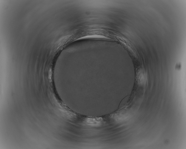 X0000090760571200707201506