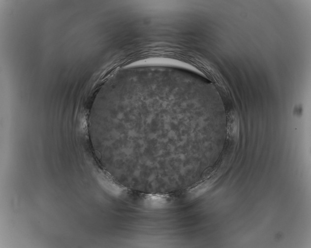 X0000090760573200707201506