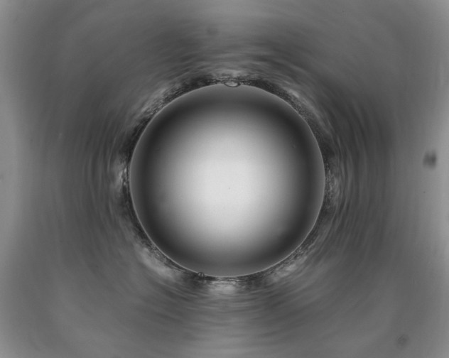 X0000090760574200707201506