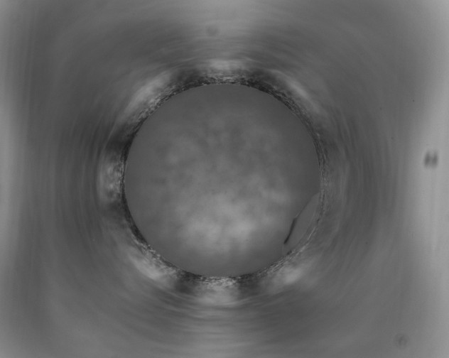 X0000090760576200707201506