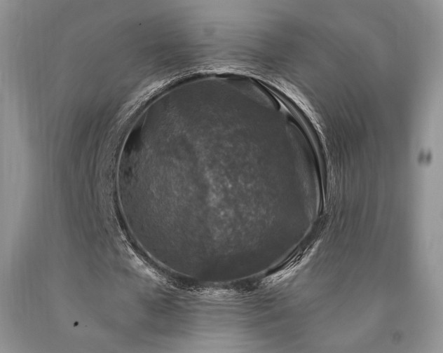 X0000090760577200707201505