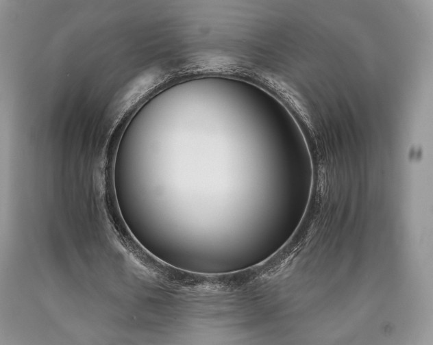 X0000090760578200707201505