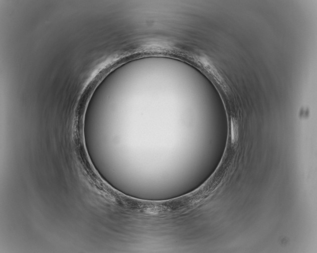 X0000090760579200707201505