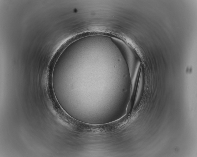 X0000090760580200707201505