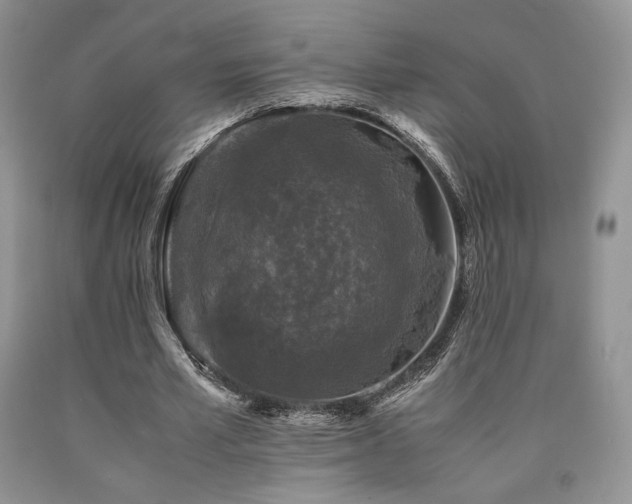 X0000090760581200707201505