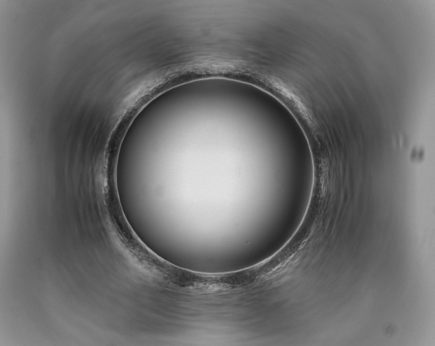 X0000090760582200707201505