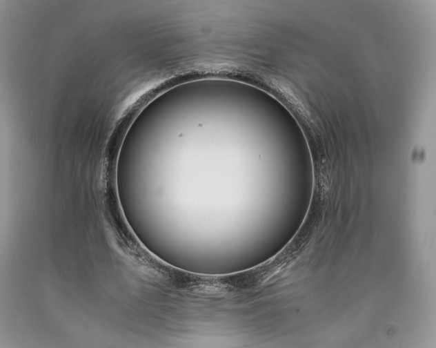 X0000090760583200707201505